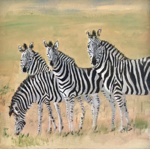 Zebras